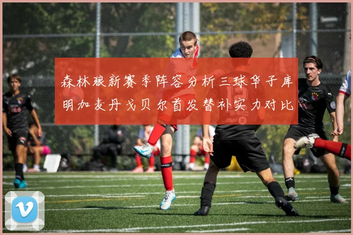 森林狼新赛季阵容分析三球华子库明加麦丹戈贝尔首发替补实力对比